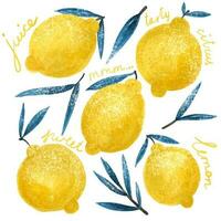 Limone. astratto moderno impostato di Limone clipart su un' bianca sfondo. fresco limoni Stampa. minimalismo Limone. manifesto con agrume frutta. grafico elemento per tessuto, tessile, vestiario, involucro carta, parete vettore