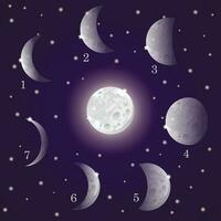 vettore illustrazione di un' notte cielo con bianca stelle e raggiante cartone animato lune impostato con diverso forme