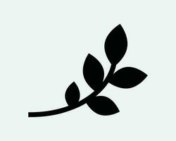 albero ramo icona. le foglie foglia natura oliva crescere pianta crescita naturale organico. nero bianca cartello simbolo illustrazione opera d'arte grafico clipart eps vettore