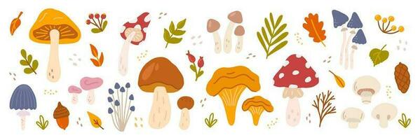 impostato di diverso funghi con frutti di bosco e le foglie di alberi. vettore piatto illustrazione nel mano disegnato stile
