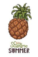 illustrazione vettoriale di ananas. scritte aloha tempo dolce estate.