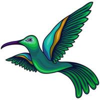 illustrazione vettore colibrì verde giorno di amore