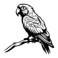 pappagalli silhouette, pappagalli portafortuna logo, pappagalli nero e bianca animale simbolo disegno, uccello icona. vettore