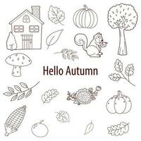 autunno mano disegnare scarabocchio fascio di accogliente design elementi. impostato di autunno ramoscelli con foglie, fogliame, villetta, zucche, scoiattolo, fungo e autunno fiore vettore