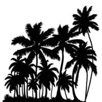 palma albero vettore palma albero silhouette Noce di cocco albero vettore silhouette