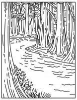 Un vecchio fondo di crescita foresta di latifoglie nel parco nazionale di Congaree nel centro della Carolina del Sud degli Stati Uniti linea mono o monoline in bianco e nero line art vettore