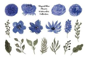 estetico blu fiore e foglia acquerello collezione vettore