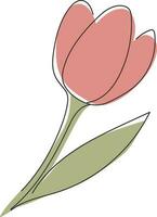 mano disegnato tulipano isolato su bianca sfondo. vettore illustrazione