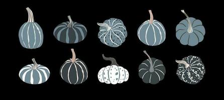 carino mano disegnato monocromatico pumkins impostare. buio tema Hallowen zucca elementi. mistico giardino verdura vettore illustrazione.