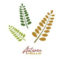 autunno acacia le foglie vettore illustrazione. autunno le foglie design modello per decorazione, vendita striscione, annuncio, saluto carta e media contenuto. autunno concetto. piatto vettore isolato su bianca.