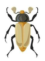 insetto crisina o gioiello scarabei, insetti vettore
