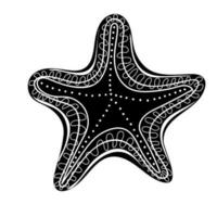 silhouette di stella marina. marino abitante. concetto di mare e oceano vita vettore