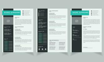 curriculum vitae e copertina lettera modelli lavori CV design vettore