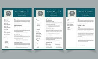 professionale grafico progettista curriculum vitae disposizione CV design modello vettore