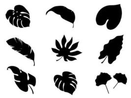 le foglie pianta nero colore per natura e bianca sfondo. vettore