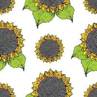 schizzo disegnato a mano del modello senza cuciture del girasole, fondo, illustrazione di vettore di progettazione di tipografia