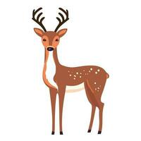 carino cervo con corna, vettore illustrazione. in piedi carino cervo. cartone animato stile disegno