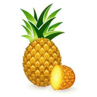 vettore illustrazione di il giallo maturo ananas frutta
