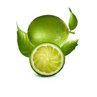 verde e maturo Limone frutta con fetta vettore illustrazione