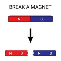 rompere un' magnete nel metà vettore