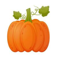 zucca con le foglie , cartone animato stile vettore illustrazione