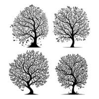 primavera fiore alberi silhouette vettore, bellissimo fiore albero nero schema vettore su bianca sfondo