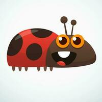 carino cartone animato coccinella. vettore illustrazione isolato