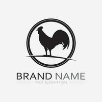 pollo logo Gallo e gallina logo per pollame agricoltura animale logo vettore illustrazione design