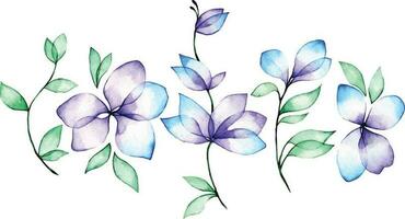 acquerello disegno. impostato di astratto trasparente fiori e le foglie. blu e viola fiori, clipart vettore