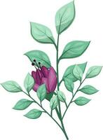 illustrazione di un' viola fiore con verde le foglie su un' bianca sfondo vettore