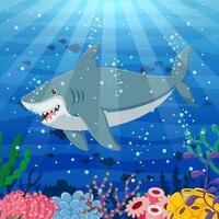cartone animato squalo nuoto nel il oceano. vettore illustrazione