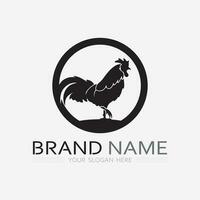 pollo logo Gallo e gallina logo per pollame agricoltura animale logo vettore illustrazione design