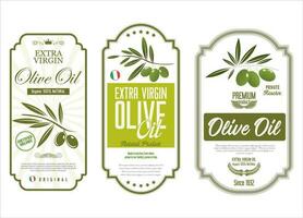 oliva olio retrò Vintage ▾ sfondo collezione vettore illustrazione