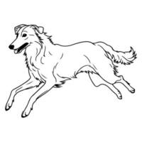 borzoi, mano disegnato cartone animato carattere, cane icona. vettore