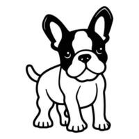 boston terrier, mano disegnato cartone animato carattere, cane icona. vettore