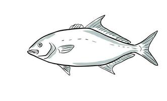 almaco Jack pesce di Florida cartone animato disegno vettore