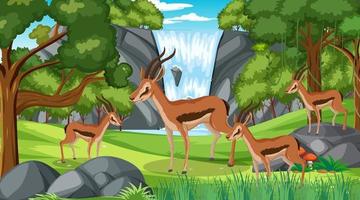 gruppo di impala nella foresta durante la scena diurna con molti alberi vettore