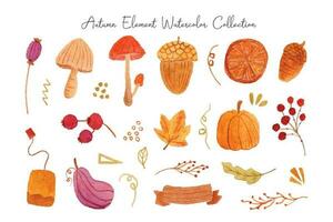 carino estetico autunno elemento collezione vettore
