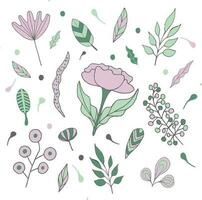 semplice astratto mano disegni di vario forme e scarabocchi.botanico natura fiori e le foglie oggetti.gentili rosa e verde vettore illustrazione elementi.mano disegnato.