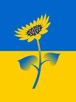 girasole su il sfondo di il nazionale bandiera di Ucraina. vettore. vettore