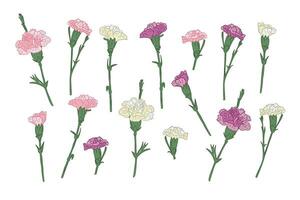 impostato di mano disegnato garofano diverso colori. vettore schema isolato rosa, bianca e viola fiori su bianca sfondo. ideale per adesivi, tatuaggio, modello, sfondo, involucro carta, modello