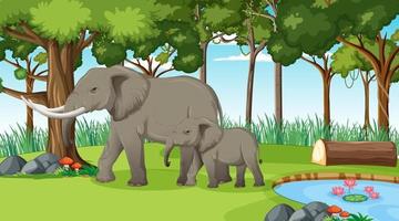 elefante nella foresta o nella scena della foresta pluviale con molti alberi vettore