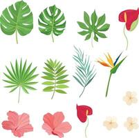 impostato di estate elemento disegni con tropicale le foglie vettore