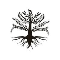 radice foglia famiglia albero di vita quercia banyan acero francobollo foca emblema etichetta logo vettore