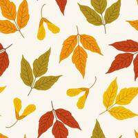 autunno senza soluzione di continuità modello con colorato acero le foglie e semi. vettore