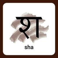 sha. - hindi alfabeto un' senza tempo classico vettore