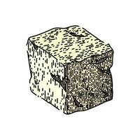 fresco feta formaggio schizzo mano disegnato vettore