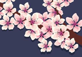 vettore di fiori di ciliegio