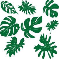 set vettoriale di disegnati a mano di foglie verdi esotiche