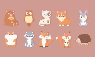 simpatici animali set di icone con orso coniglio gufo gatto cane criceto volpe procione scoiattolo e riccio vettore